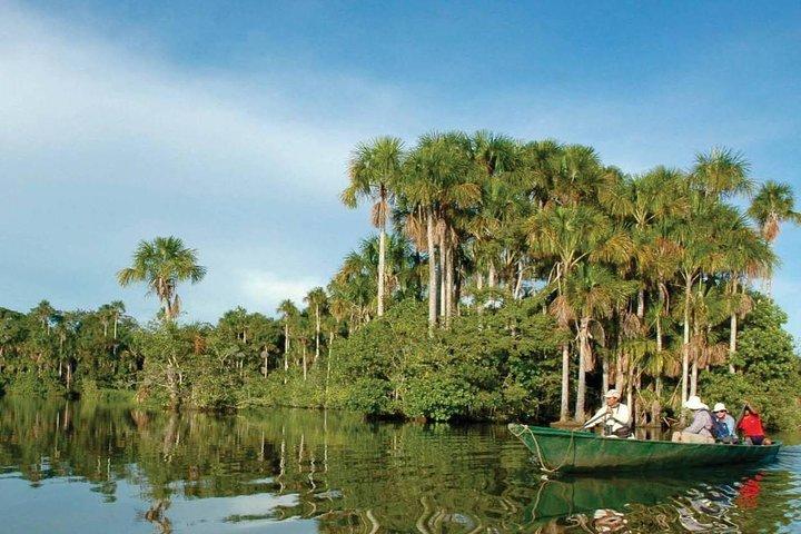 Tambopata 3-dagars Amazonastur : Macaws, Caimans & Jungle