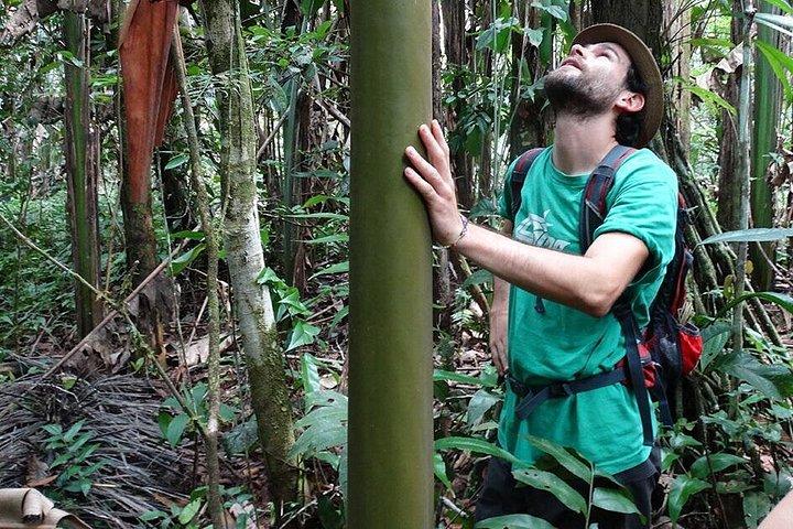 Manu Jungle Exploring: 5 Day Amazon & Cloud Forest Adventure