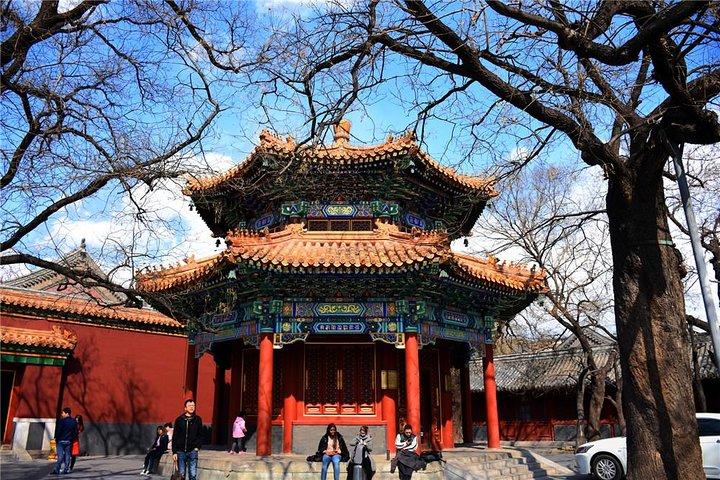 Special Offer: Lama Temple with Best Tour Guide