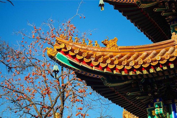 Special Offer: Lama Temple with Best Tour Guide