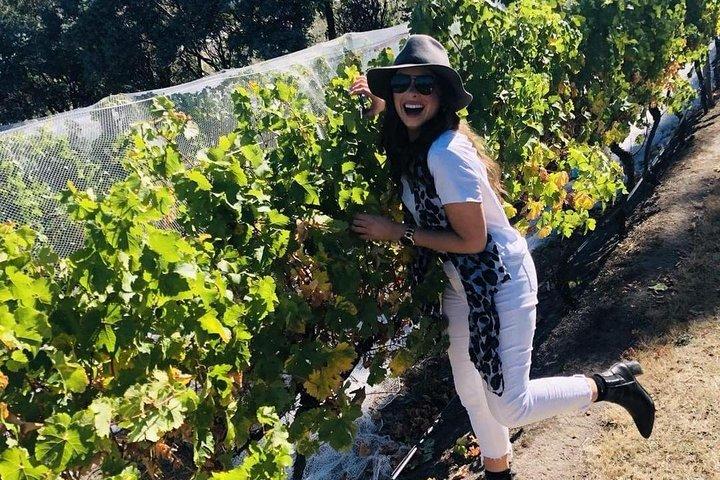 Excursion d'une journée dans les vallées de Vino