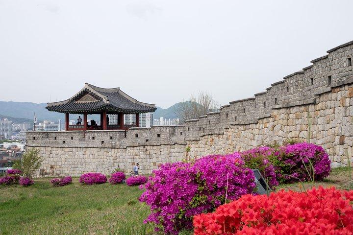 Tour privato del villaggio folcloristico coreano e della fortezza di Suwon Hwaseong