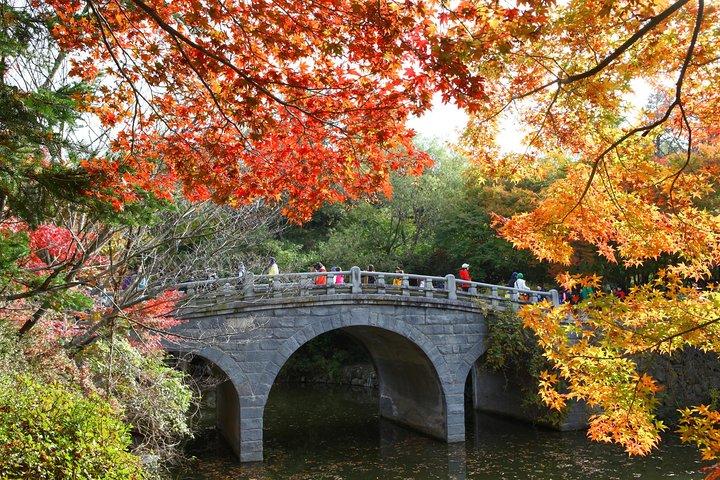 Séoul à Gyeongju, 1 journée