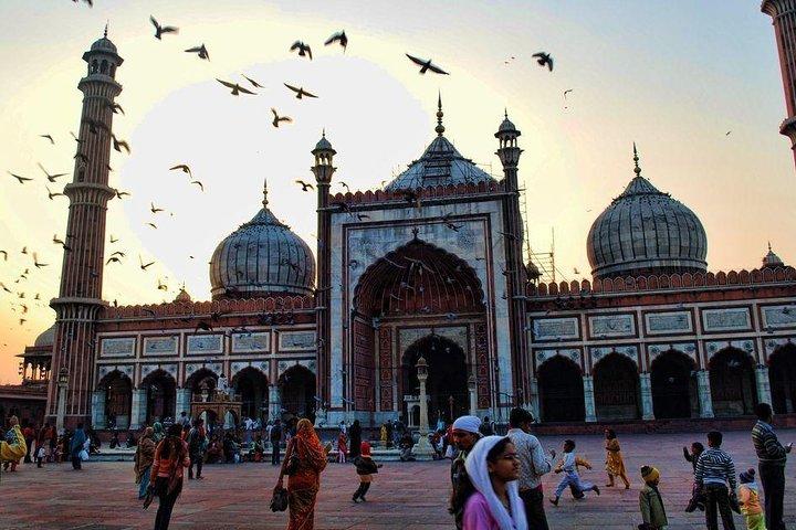 Old Delhi Halbtägige private Stadtrundfahrt