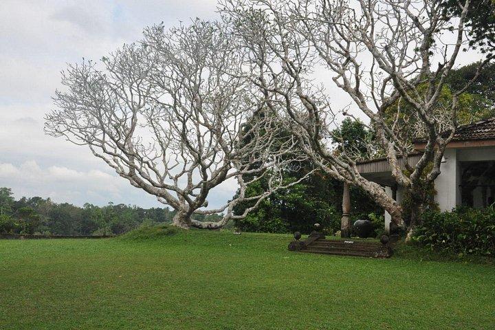 Bentota City Tour from Negombo