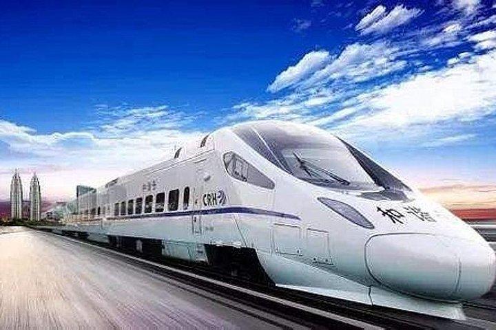 Privat overførsel fra Shanghai Disneyland til Shanghai Hongqiao Railway Station