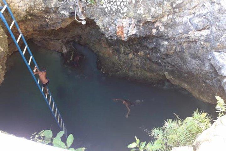 Blue Hole Mineral Spring e Herb Farm Private Tour