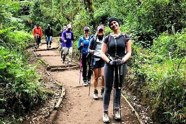 Kilimanjaro Day Hike