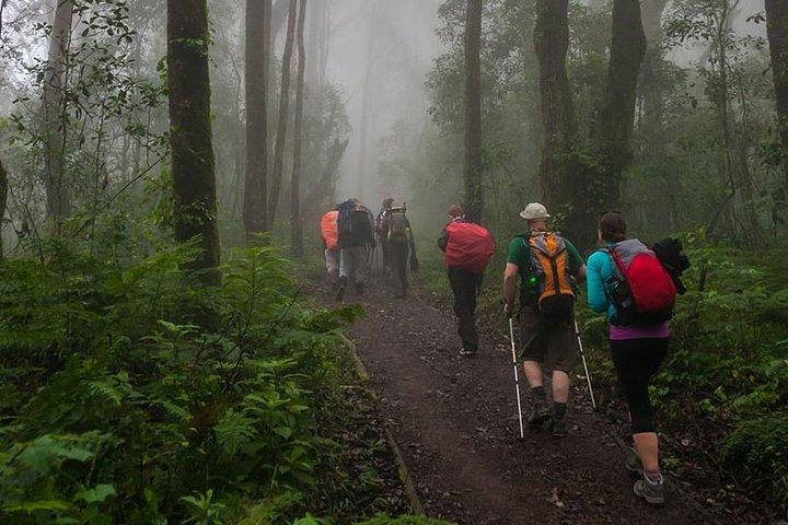 Mt Kilimanjaro-dagwandeling