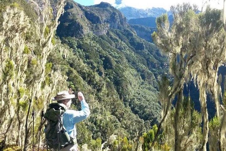 Mt Kilimanjaro-dagwandeling