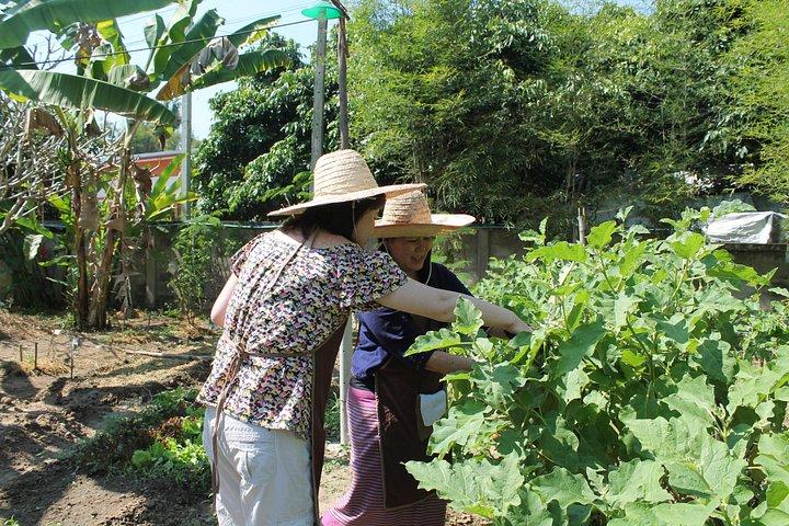 チェンマイ ランナー 地元の人々とタイ北部料理体験
