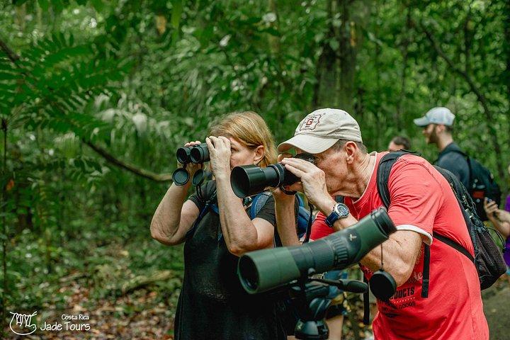Visite privée de luxe du parc Manuel Antonio