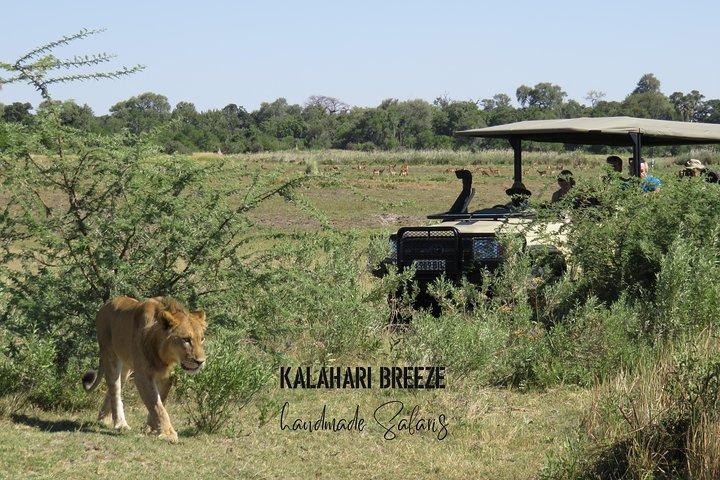 Punti salienti di 8 giorni del tour terrestre del Botswana e Victoria Falls