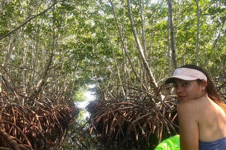 ロアタンショアエクスカーション：カヤックハーバーアドベンチャーとリーフシュノーケル