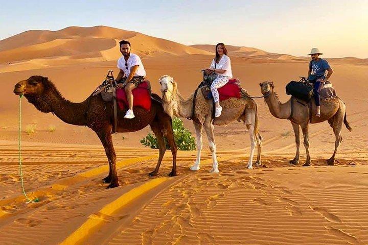 1 nat alt inklusive Camel Ride & Desert Camp
