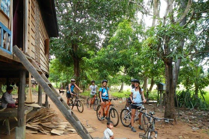Rice Fields & Rural Villages Tour