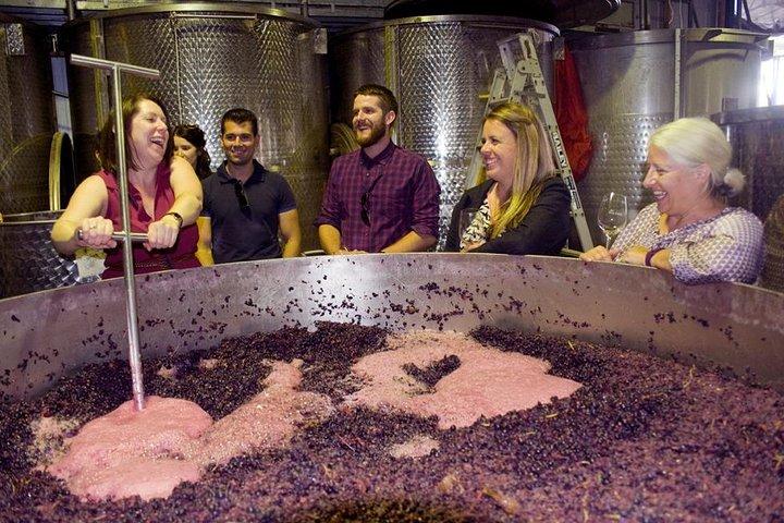 Mornington Peninsula Winery Tour - Déjeuner inclus