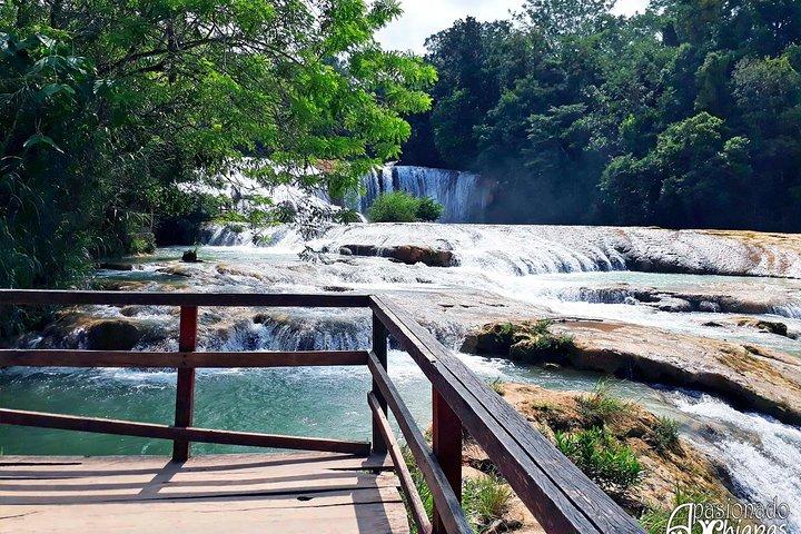 Waterfalls of Agua Azul, Misol ha and Palenque Archaeological Zone exit Tuxtla G.