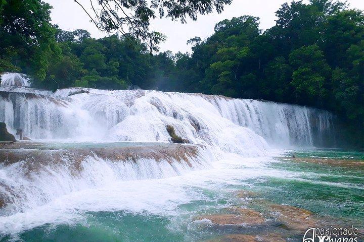Waterfalls of Agua Azul, Misol ha and Palenque Archaeological Zone exit Tuxtla G.