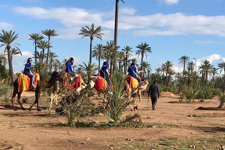 Marrakech flygplatstransfer