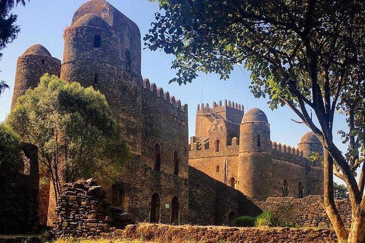 Day Trip to Gondar with round trip flight