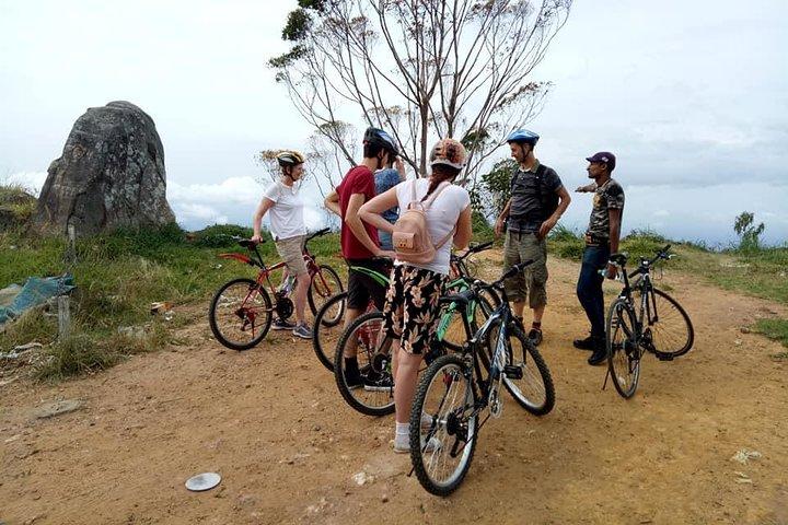 エラから自転車でエラを発見