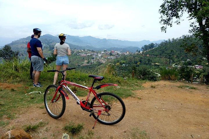 エラから自転車でエラを発見