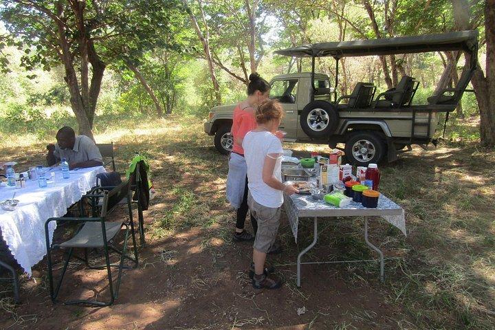 Chobe Overnight Camping safaris