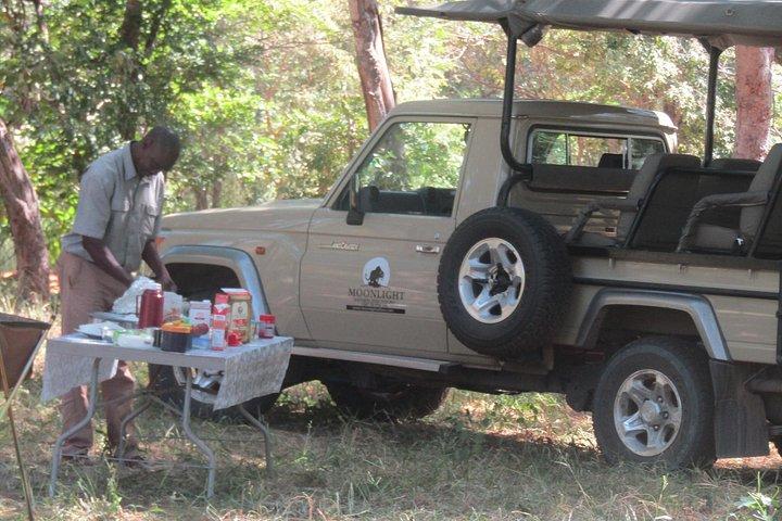 Chobe Overnight Camping safaris