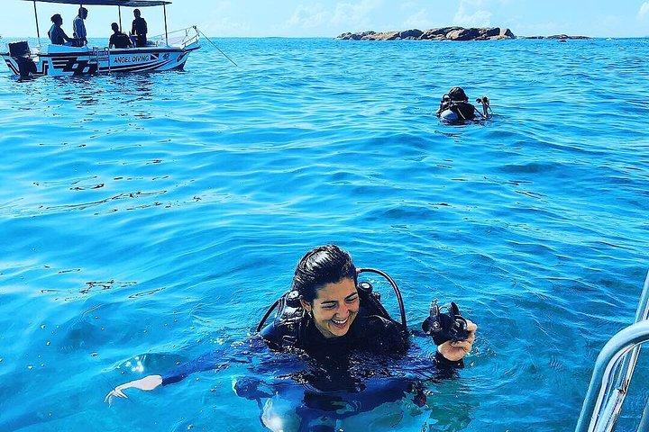 今すぐスキューバアドベンチャーを始めよう！水中写真を無料でプレゼント
