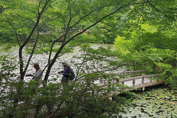 大阪発の神戸の山々、植物園、温泉を訪れる日帰りプライベート・ツアー