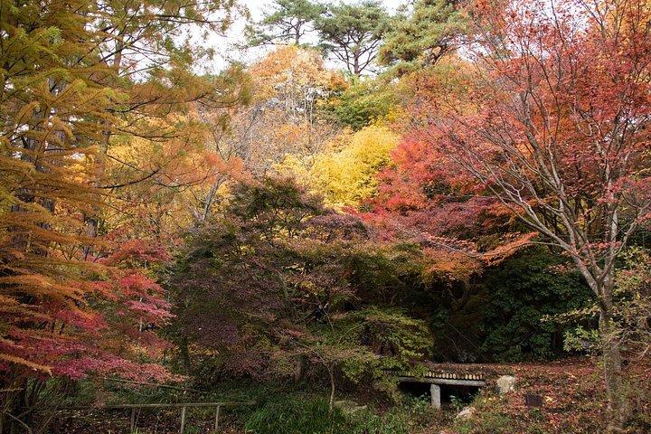 大阪発の神戸の山々、植物園、温泉を訪れる日帰りプライベート・ツアー