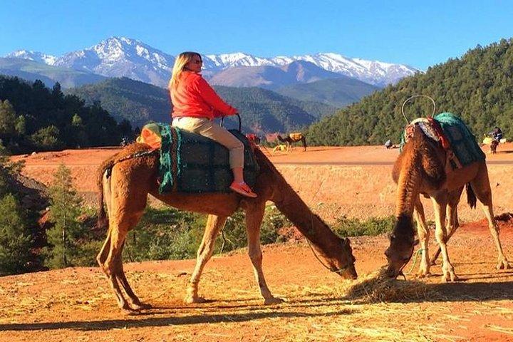 Berber Villages Day Trip & Camel Ride From Marrakech