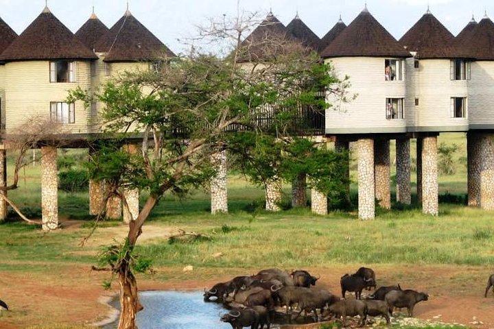 3 jours 2 nuits à Sarova Saltlick et Taita Hills