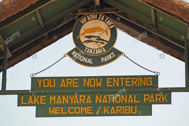 1 dag gick med i gruppsafari i Lake Manyara