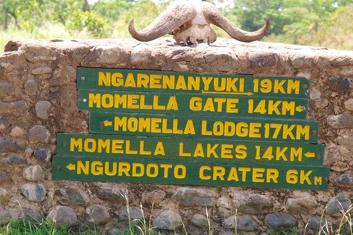 Safari privé d'une journée dans le parc national d'Arusha.