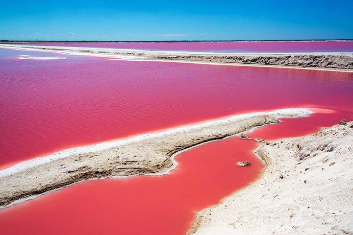 Ek Balam, Rio Lagartos og Las Coloradas privat tur fra Cancun