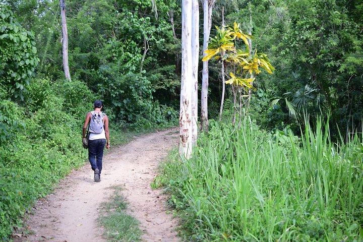Waterfalls, Landscapes and Ancestral Flavors santa marta