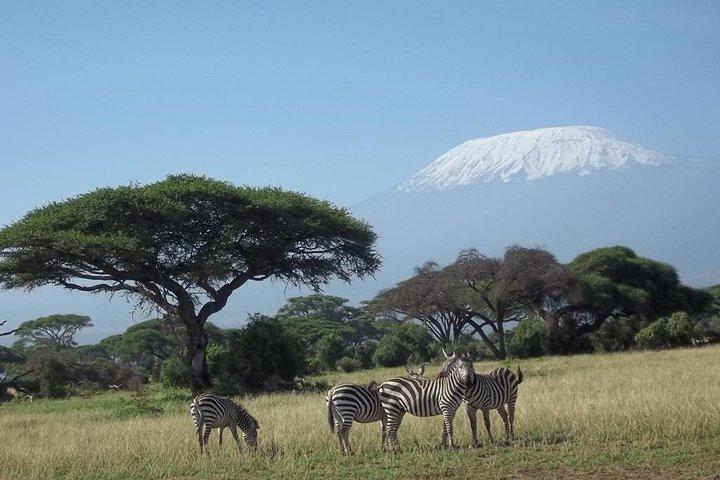 3 days Red elephant safari