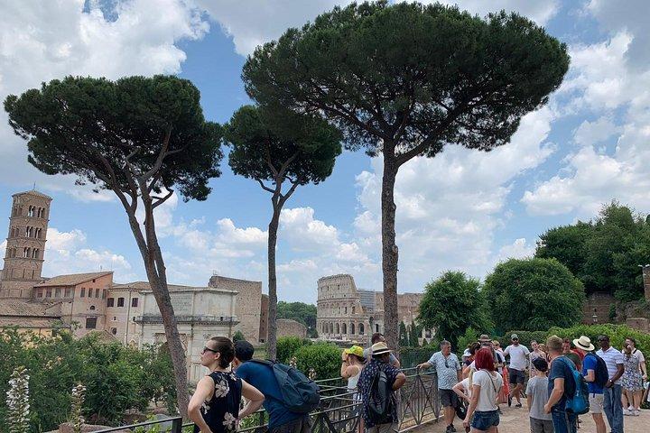Tour por el Monte Palatino con el Foro Romano