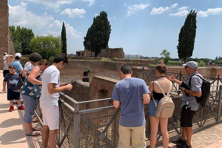 Tour por el Monte Palatino con el Foro Romano