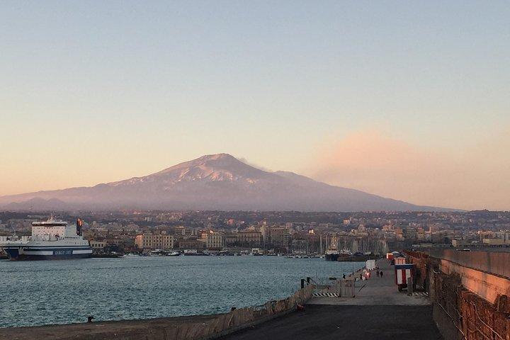 Etna-tur for krydstogter (fra havnen i Catania)