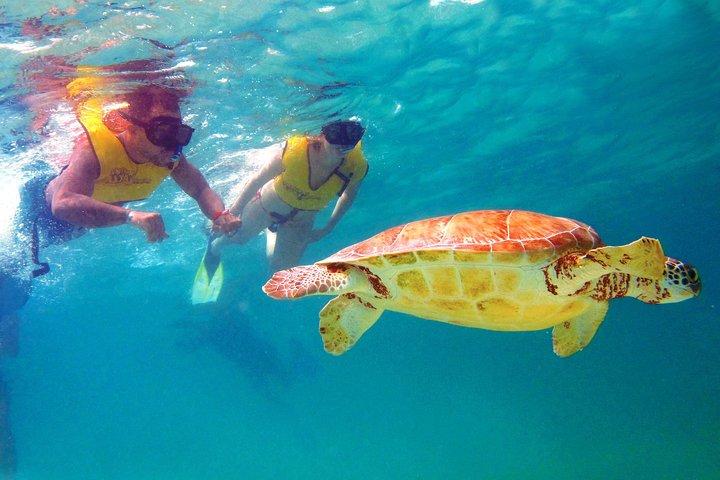 Cancun Best Deal 3x1: mergulho com snorkel, tirolesa e rapel