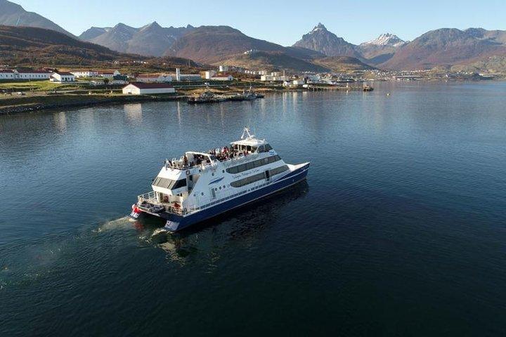 USHUAIA: Beagle-Kanal-Navigation - Isla de los Lobos und Abstieg auf den Brückeninseln