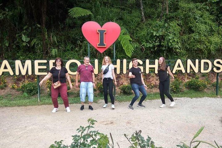 Explore Cameron Highlands: Full-Day Tour with Scenic Batu Caves