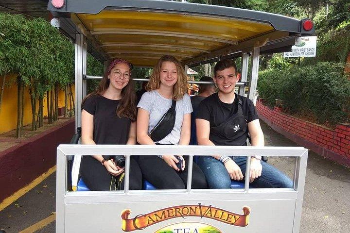 Explore Cameron Highlands: Full-Day Tour with Scenic Batu Caves