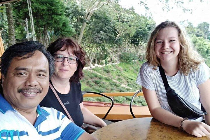 Explore Cameron Highlands: Full-Day Tour with Scenic Batu Caves