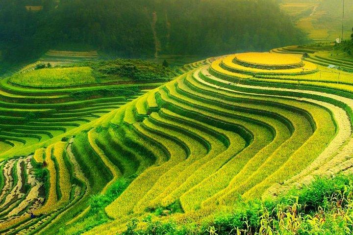 Sa Pa: 2-tägige mittelschwere Trek- und Homestay-Limousinentour ab Hanoi