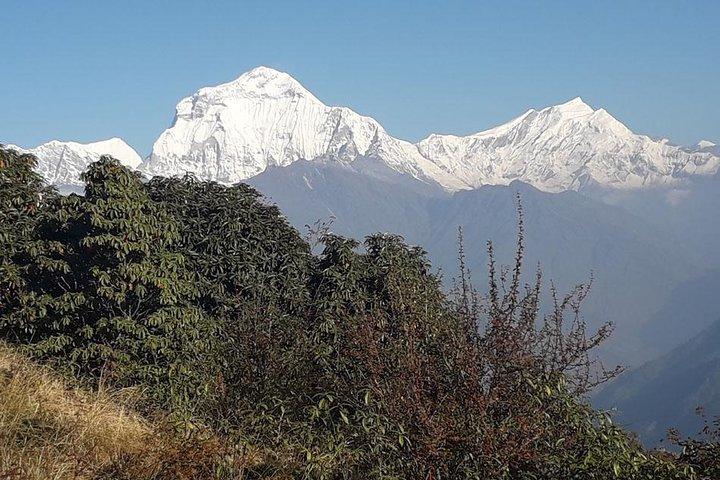 Day Trip in Pokhara