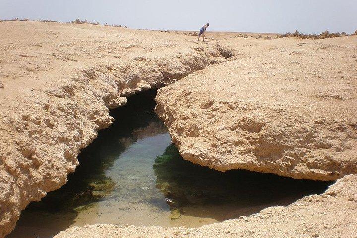 Excursión de medio día en autobús al Parque Nacional Ras Mohamed desde Sharm El Sheikh